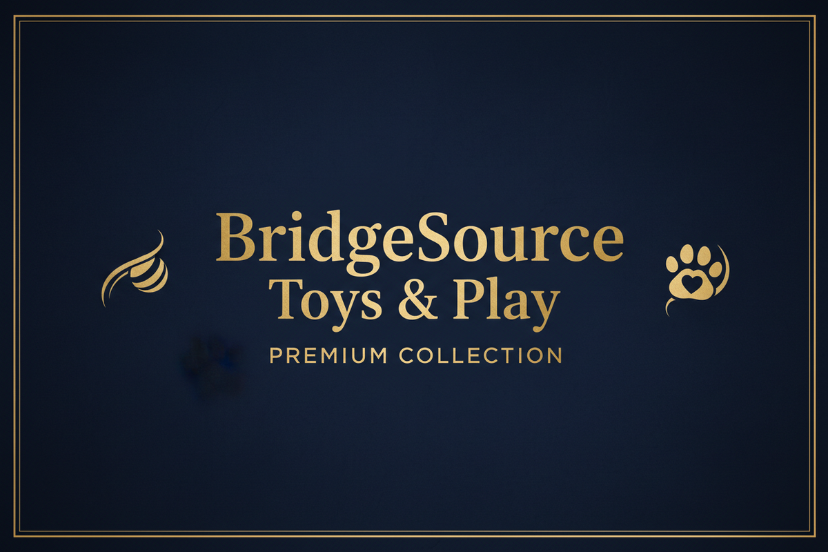 BridgeSource Toys & Play Banner