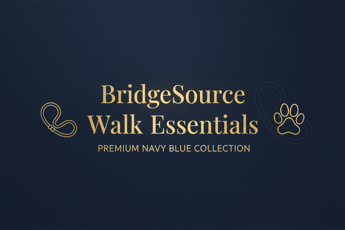 BridgeSource Walk Essentials Banner